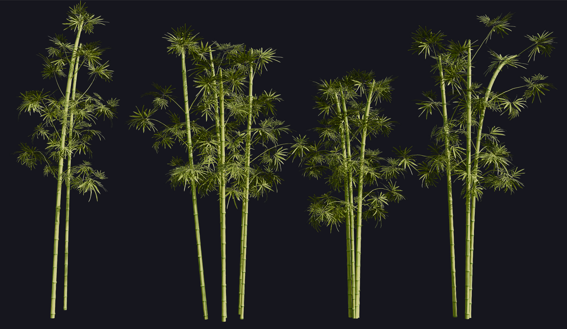 Bamboo preview